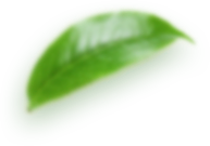el 3